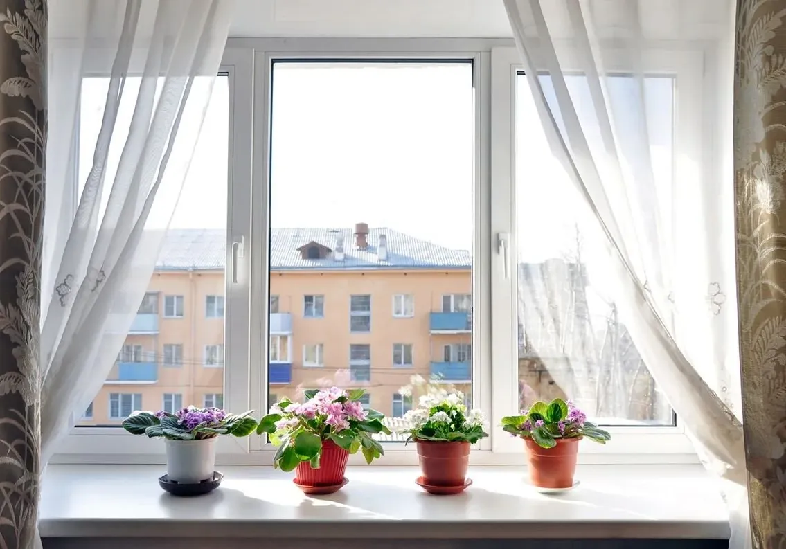 /images/services_glazing.webp